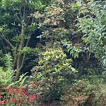 Hoehennest Am Niederrhein - 30 Min Duesseldorf Venlo - Smarttv * 비에르센