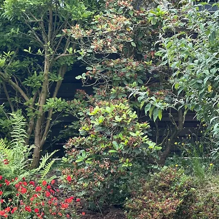 Hoehennest Am Niederrhein - 30 Min Duesseldorf Venlo - Smarttv * Viersen