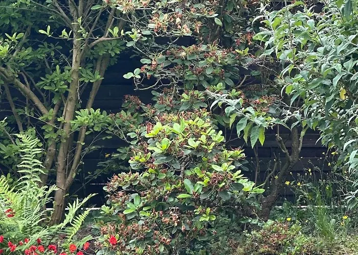 Hoehennest Am Niederrhein - 30 Min Duesseldorf Venlo - Smarttv * Viersen